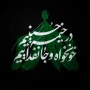 «السَّلامُ عَلَیْکَ یا اَباعَبْدِاللَّهِ وَ عَلَی الْاَرْواحِ الَّتی حَلَّتْ بِفِنائِکَ»